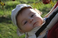 Pfadijahr 2011/2012