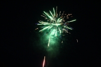 Techuana 2012