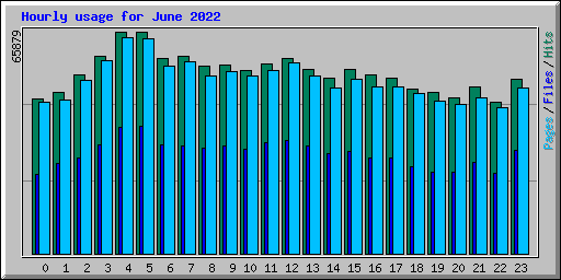 Hourly usage for June 2022